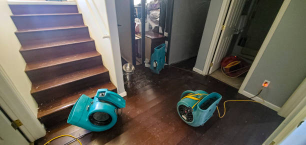 Best Local water damage restoration  in Burnham, PA
