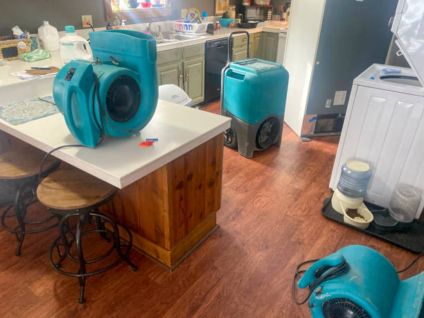 Best Mold removal after water damage  in Burnham, PA