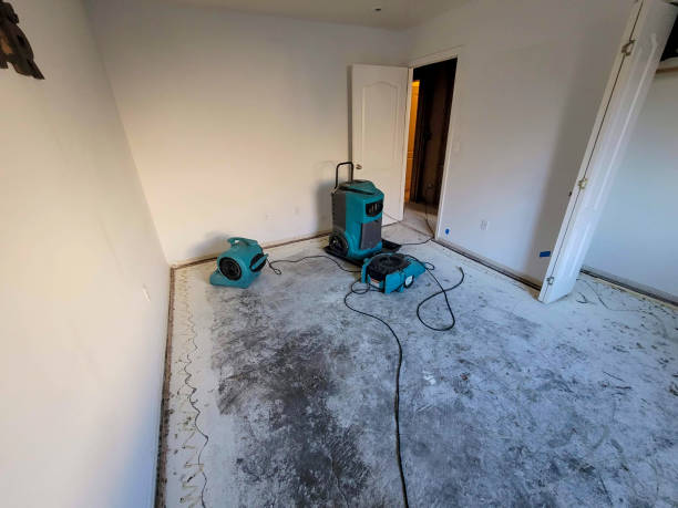 Best Basement water damage restoration  in Burnham, PA