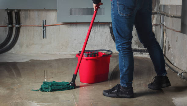 Best Water damage contractors near me  in Burnham, PA