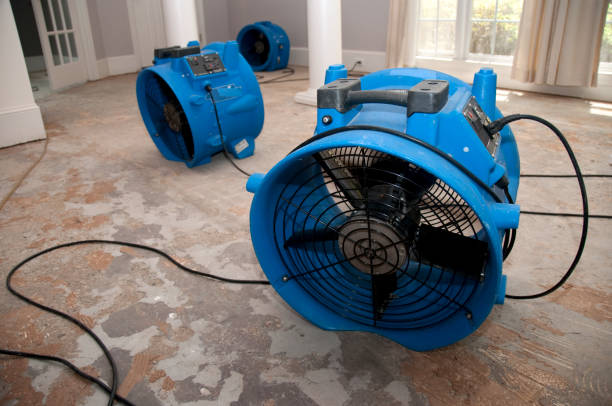 Best Basement water damage restoration  in Burnham, PA