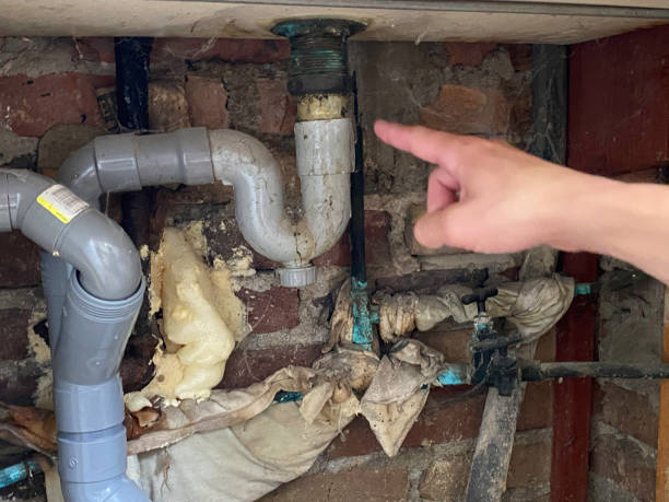 Best Flood restoration services  in Burnham, PA